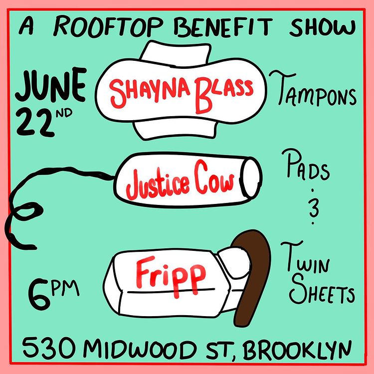 A Rooftop Benefit Show: Mumu, Justice Cow, and Fripp, June 22nd, 6 pm, 530 Midwood St, Brooklyn
